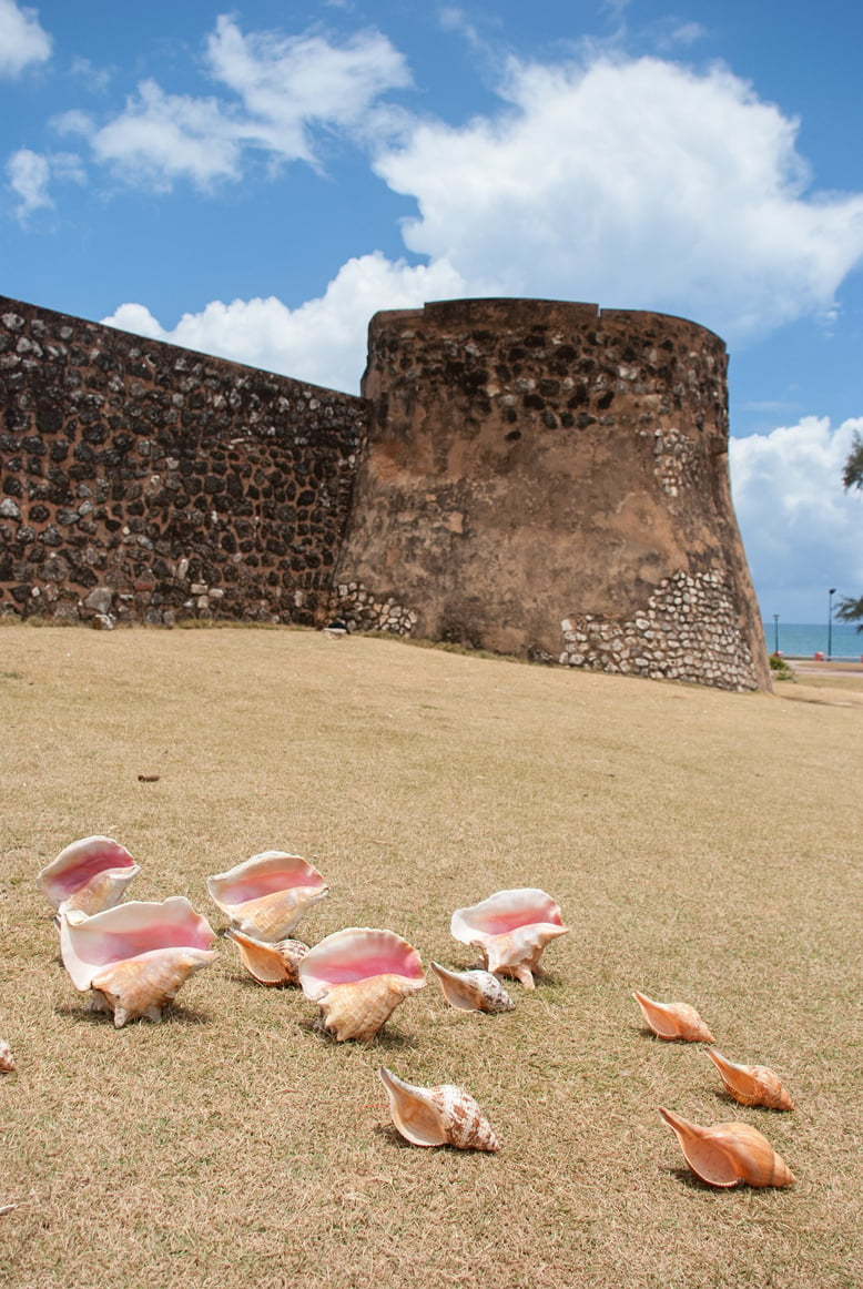 Dominican Republic