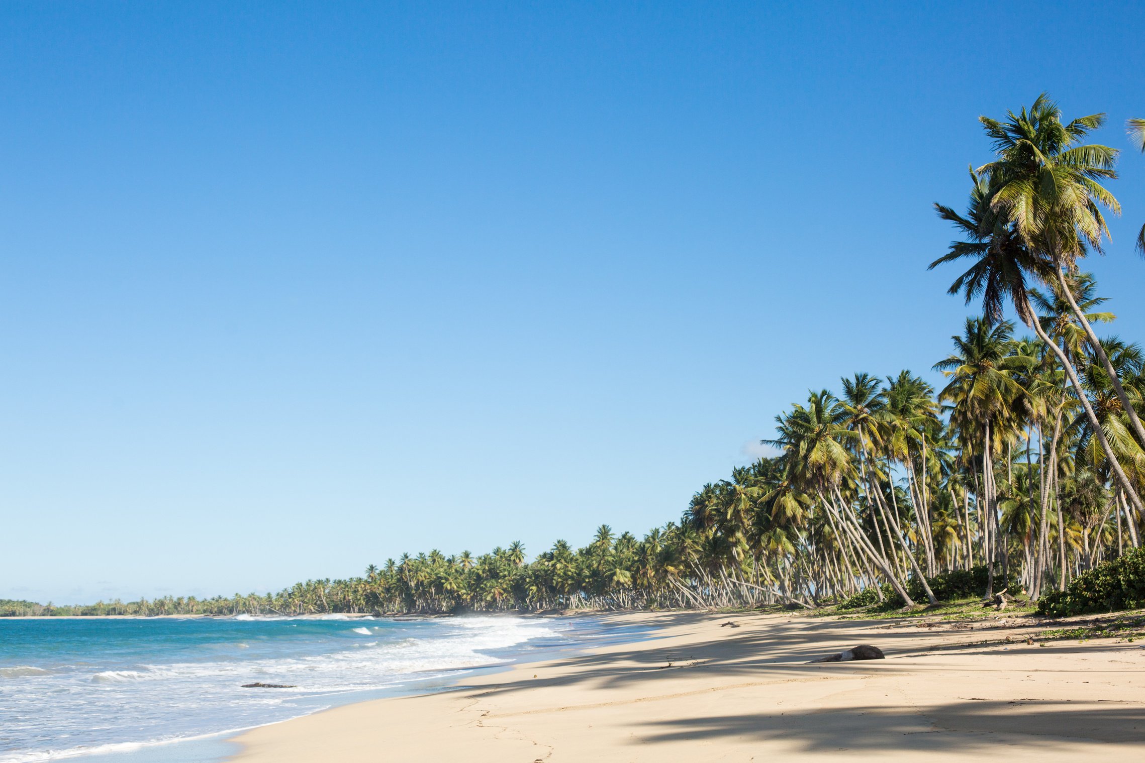 Wild beach in Dominican Republic with palm trees, waves, yellow sand and blue sky. Playa El Limon