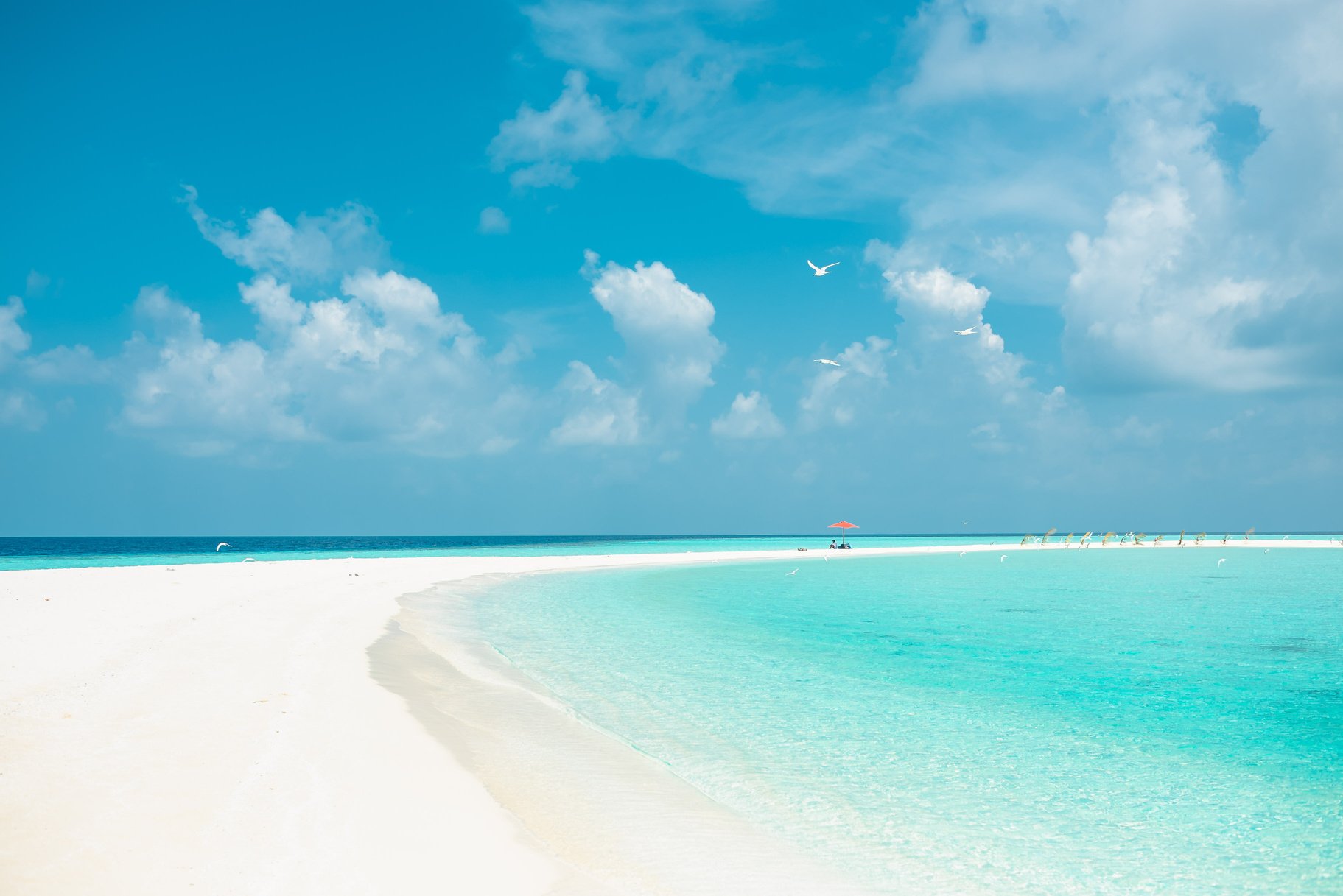 Ocean View under the Blue Sky