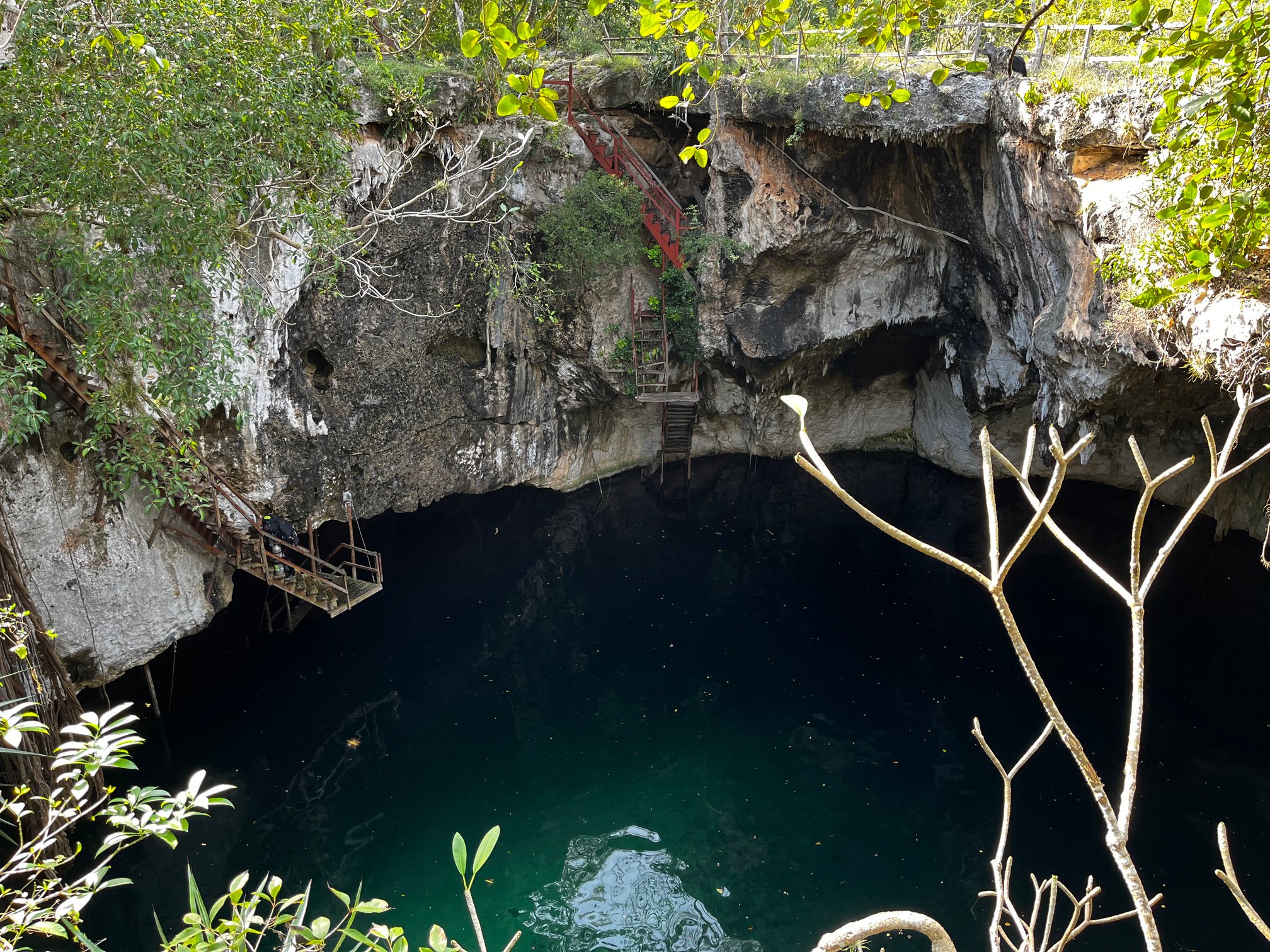 Open cenote in the mexican jungle