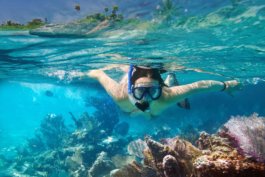 Snorkeling in Carribean sea