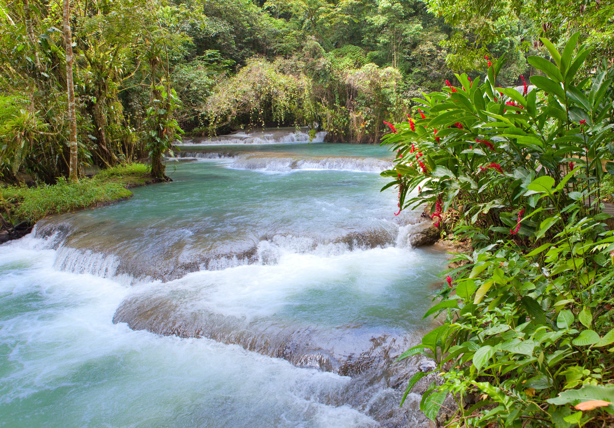 Jamaica. Dunn's River waterfalls