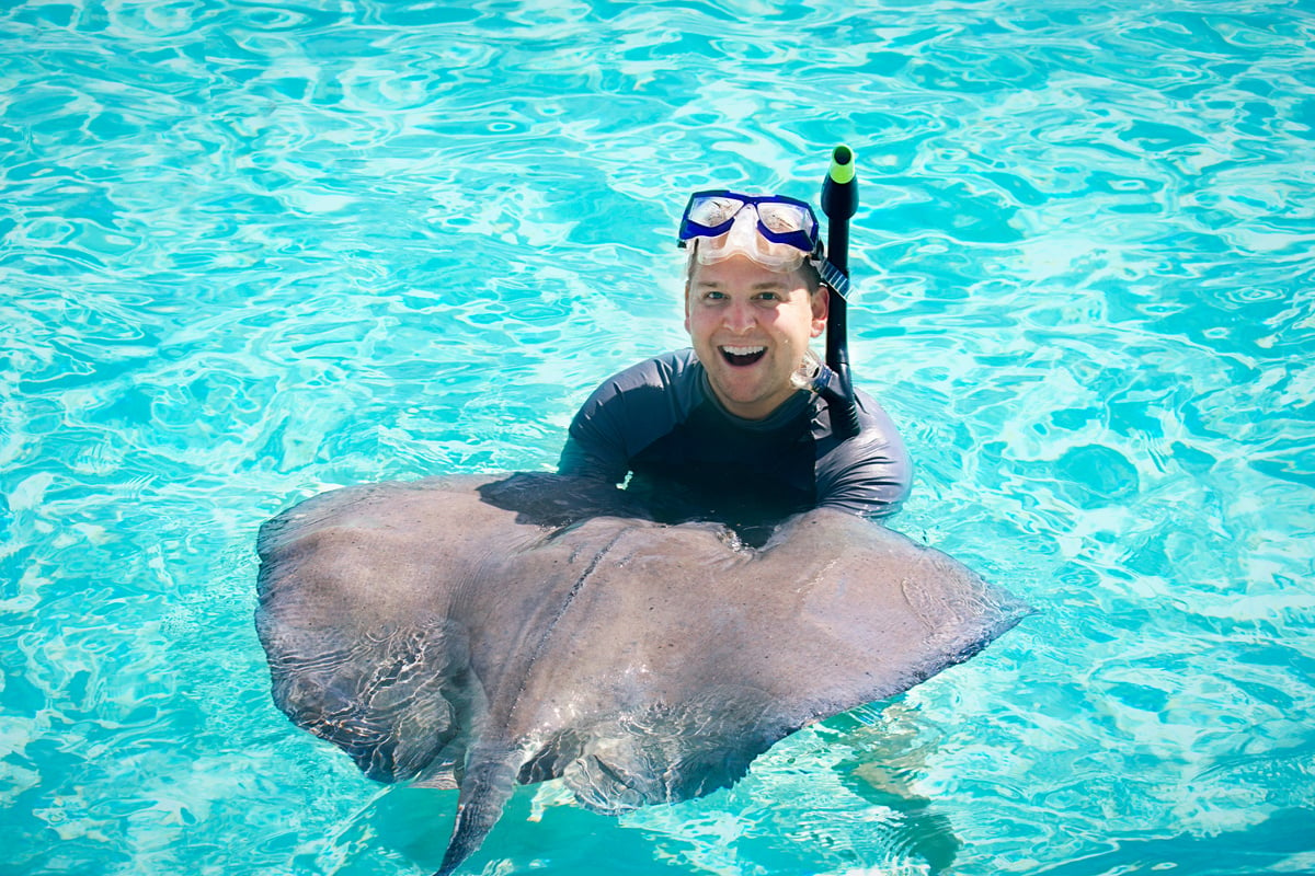 Swimming with the Stingrays