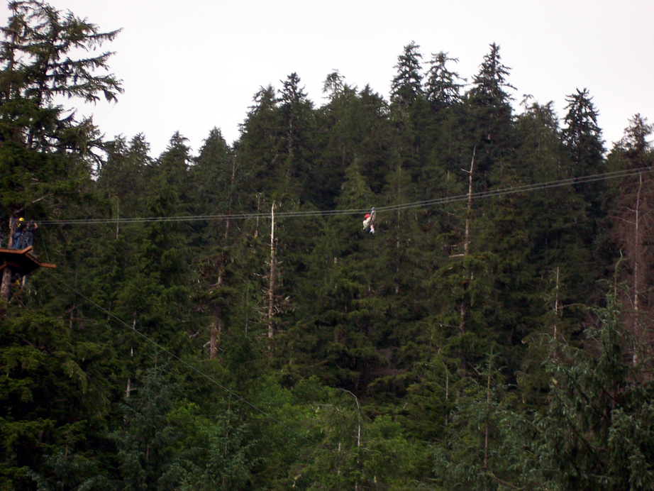 Zipline Canopy Tour Alaska