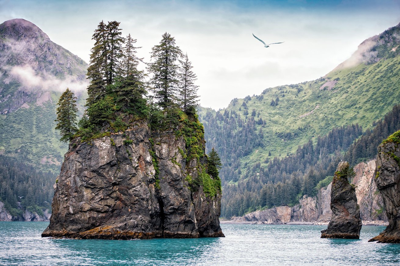 Foggy Day, Kenai Fjords National Park, Alaska, USA