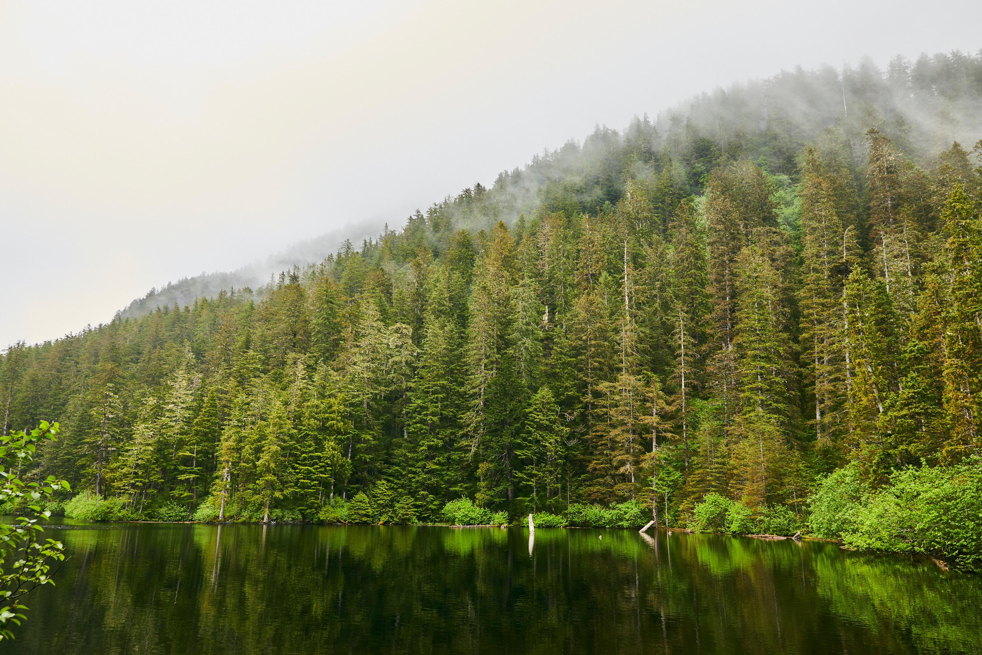 Sitka, Alaska